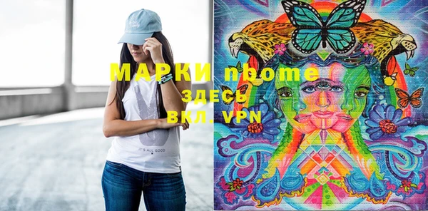 шишки Белоозёрский