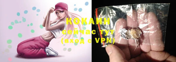 шишки Белоозёрский