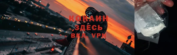 шишки Белоозёрский