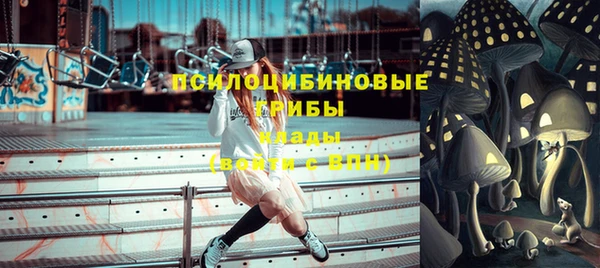 меф Белокуриха