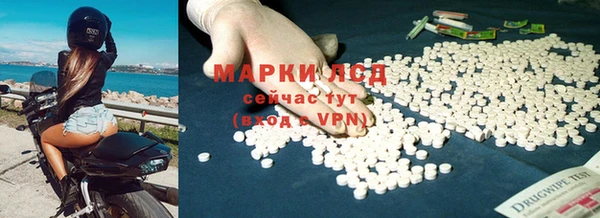 шишки Белоозёрский