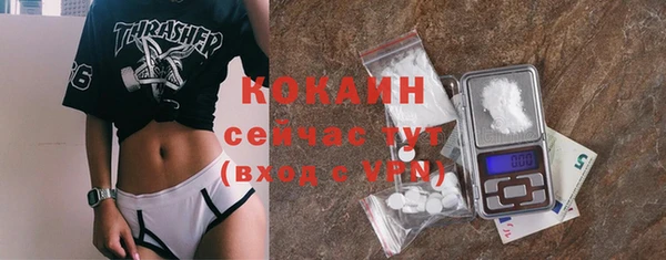 шишки Белоозёрский