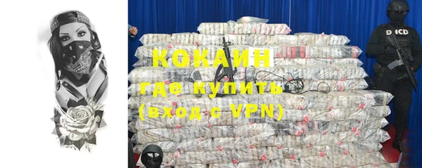 шишки Белоозёрский