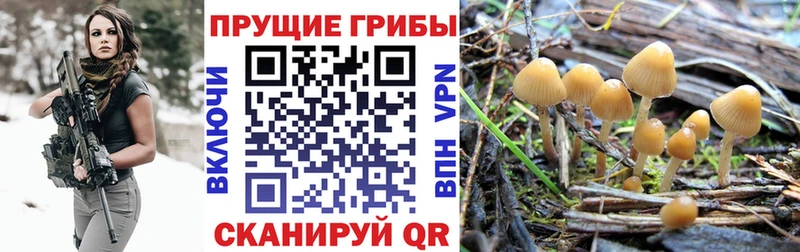 Псилоцибиновые грибы мицелий blacksprut ONION Семёнов